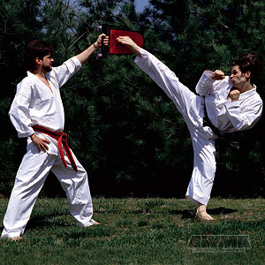 Competitor Kick-Punch Target